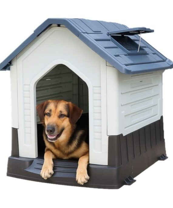 CASA DE PERRO